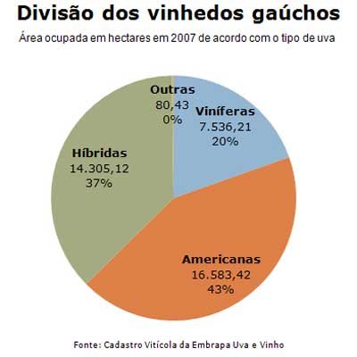 vinhedos vinhedos