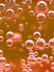 Rose_Champagne_Bubbles