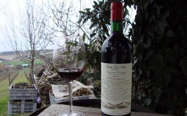 Il Colombarone, da Tenula La Viola, um dos tintos à base de Sangiovese que tentam ganhar mercado internacional
