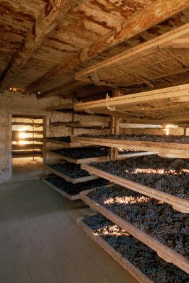 Processo de passificação de uvas na região de Valpollicela: técnicas italianas serão usada para produzir vinho na Serra Gaúcha